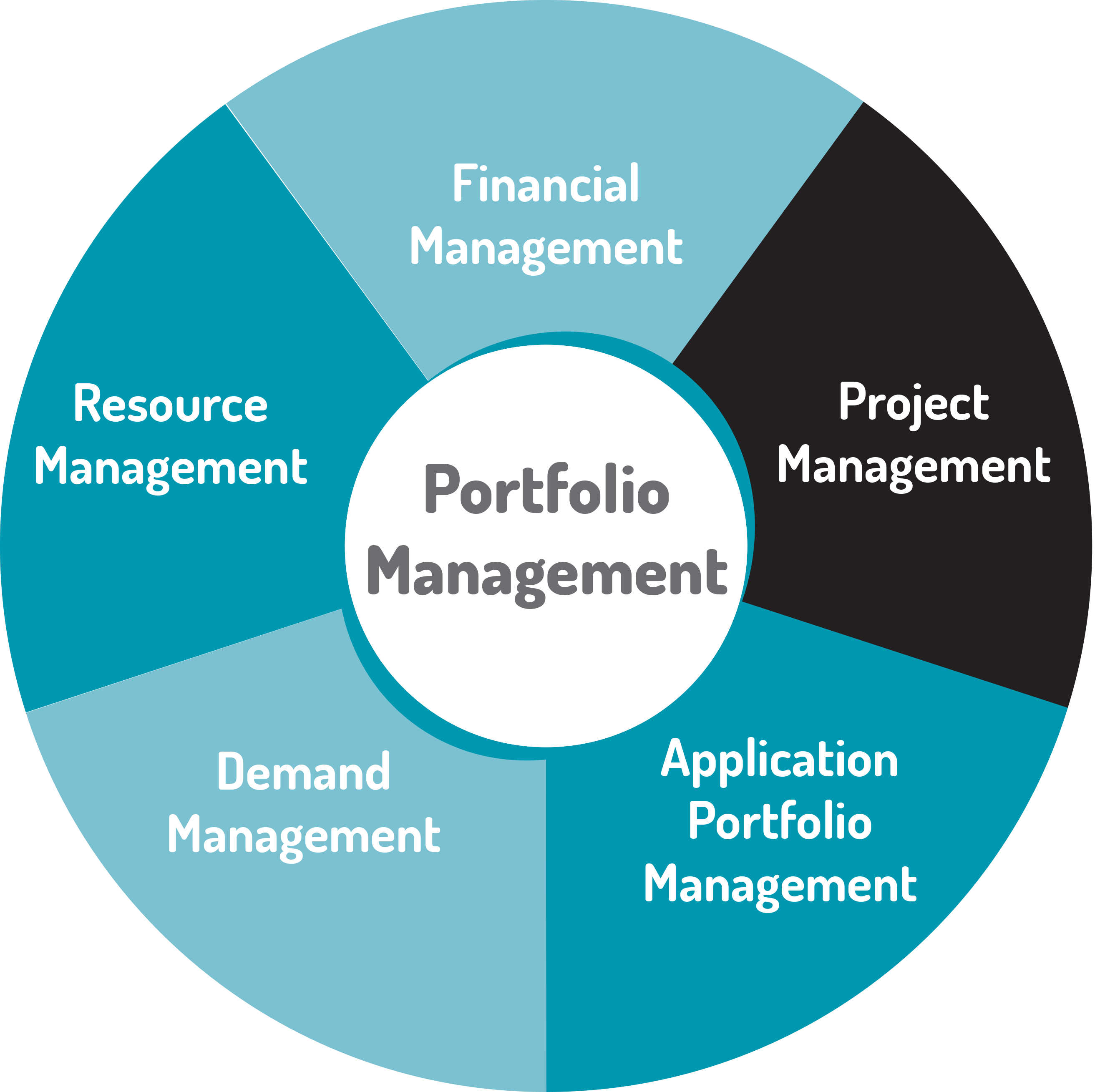 portfolio management graphic mariner ppm project portfolio management